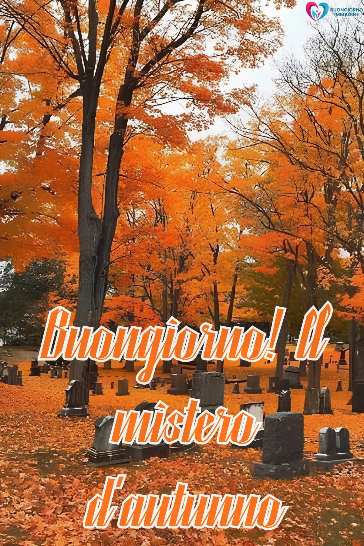 buongiorno 31 ottobre halloween 25 buongiorno 31 ottobre halloween 25