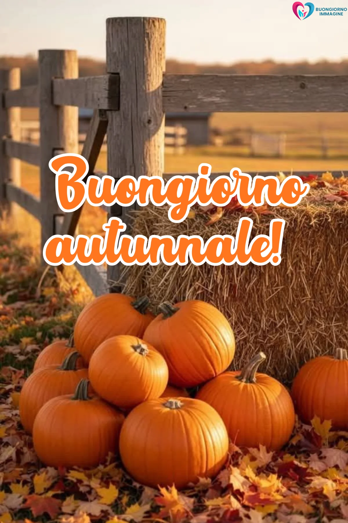 buongiorno autunnale 1 buongiorno autunnale 1