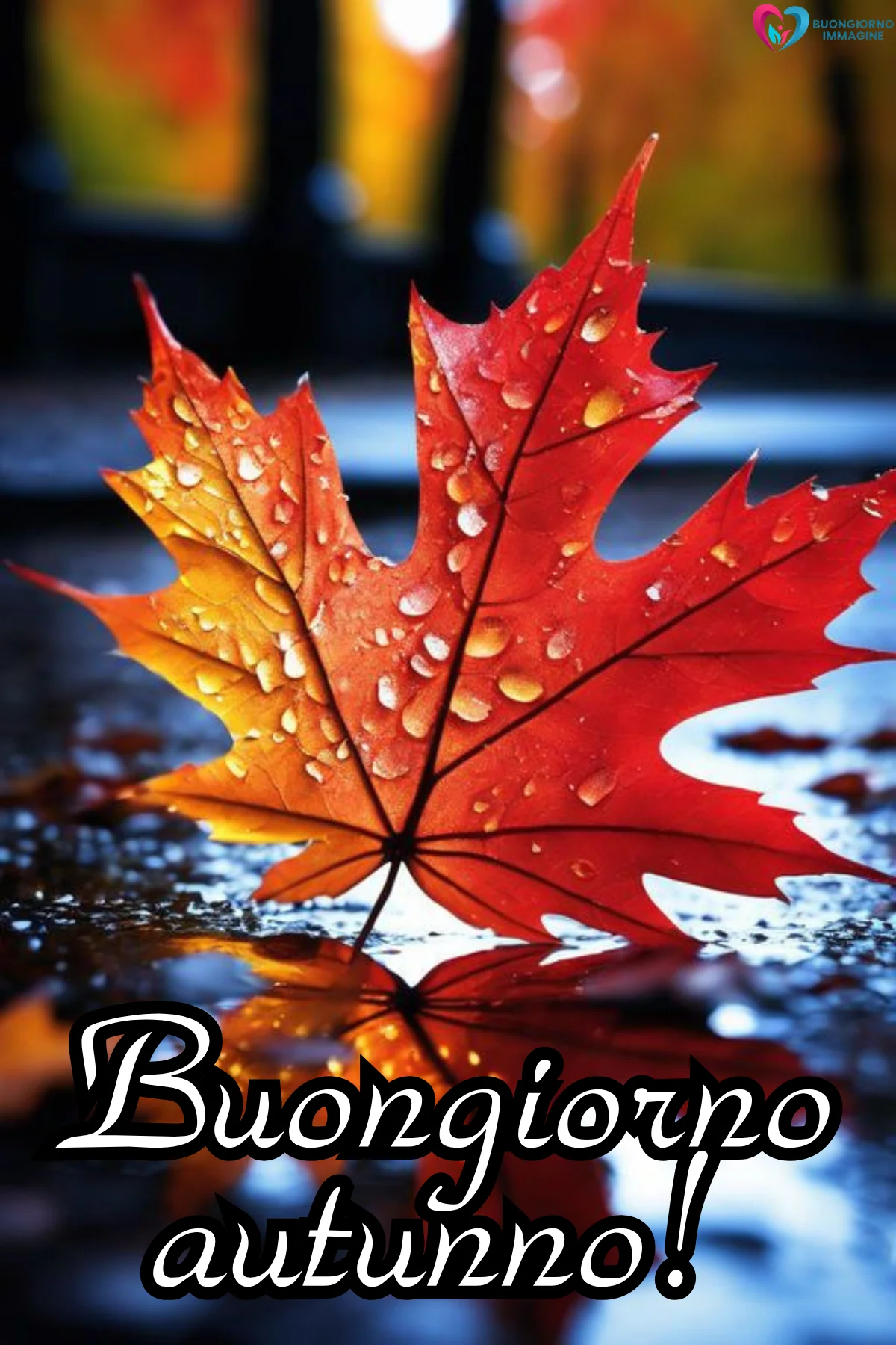buongiorno autunnale 4 buongiorno autunnale 4