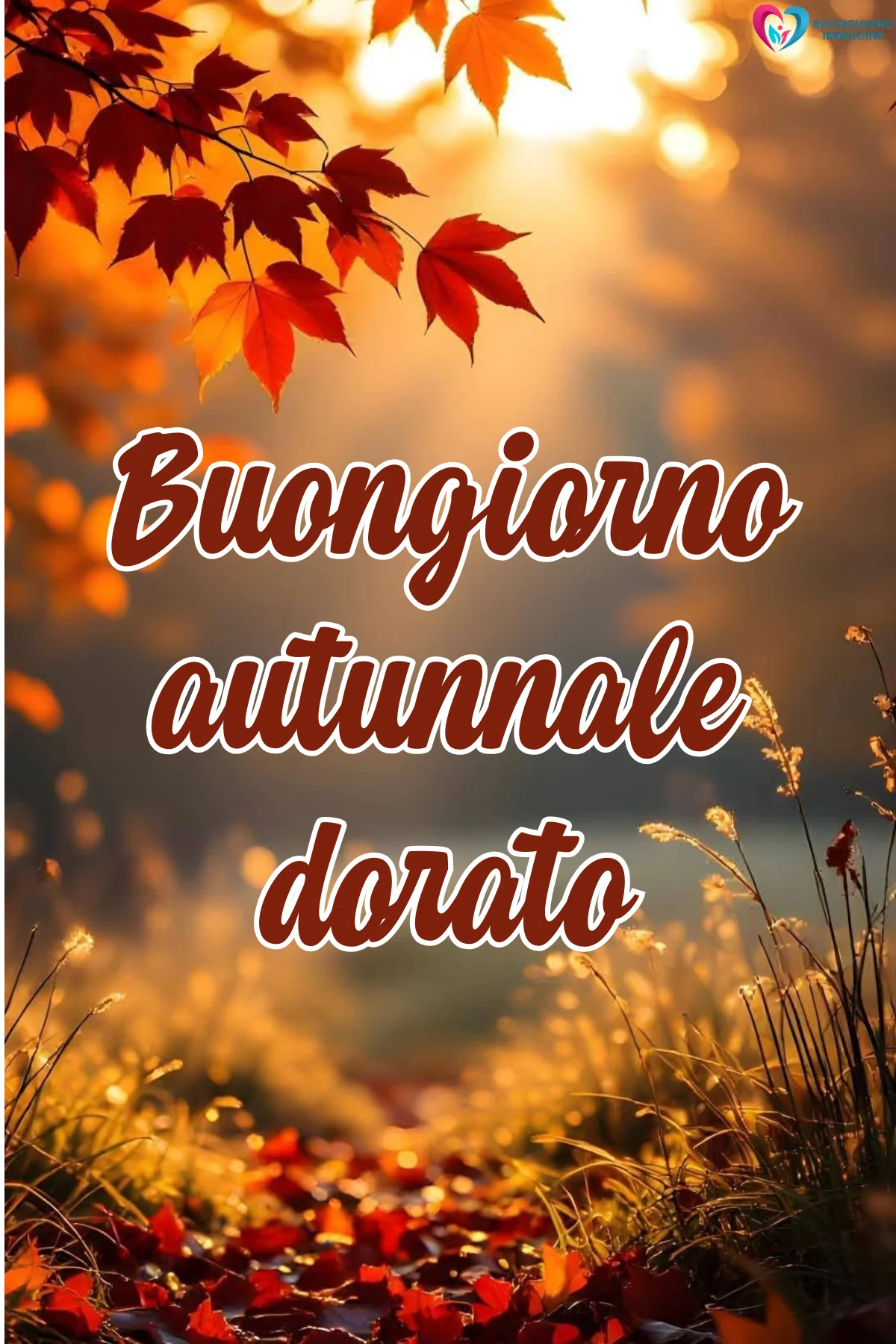 buongiorno autunnale 5 buongiorno autunnale 5