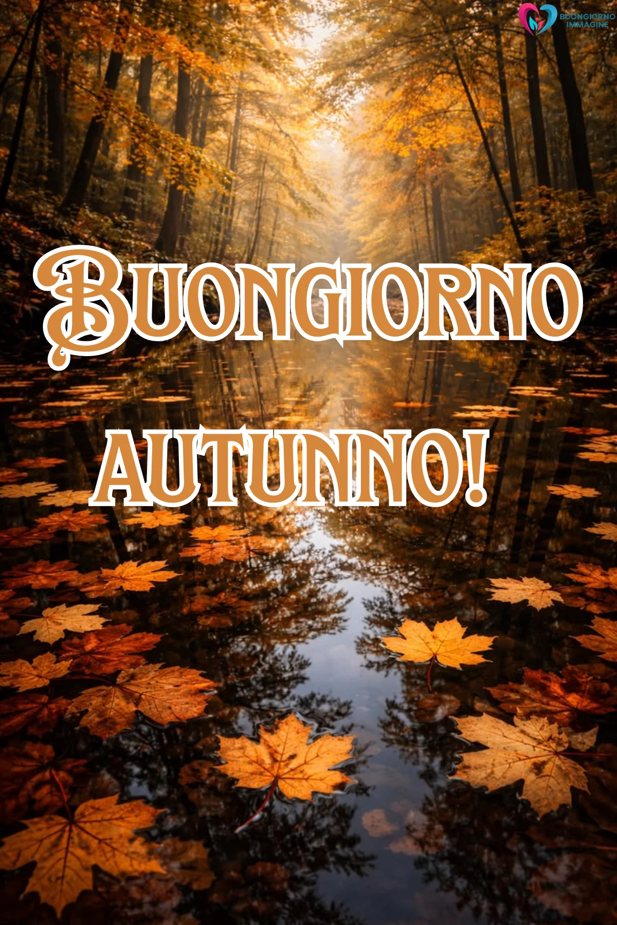 buongiorno autunnale 11 buongiorno autunnale 11
