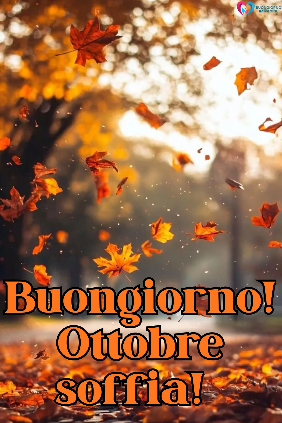 buongiorno autunnale 14 buongiorno autunnale 14