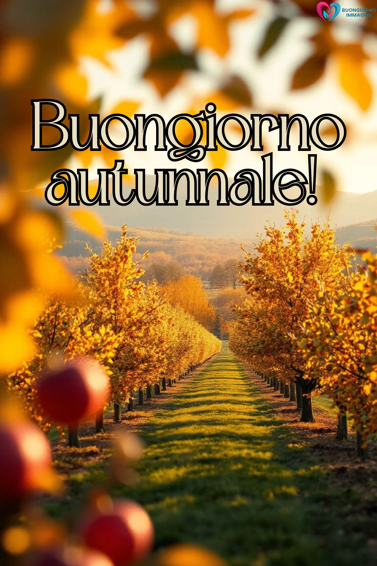 buongiorno autunnale 15 buongiorno autunnale 15