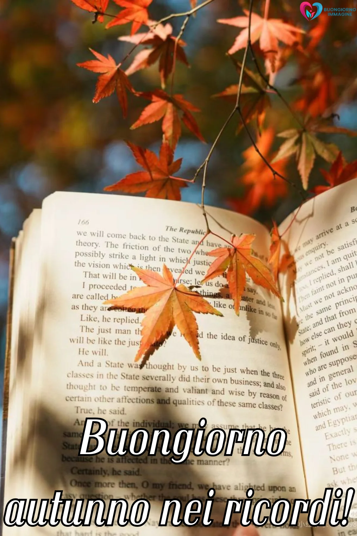 immagini buongiorno autunnale — buongiornoimmagine.it immagini buongiorno autunnale — buongiornoimmagine.it
