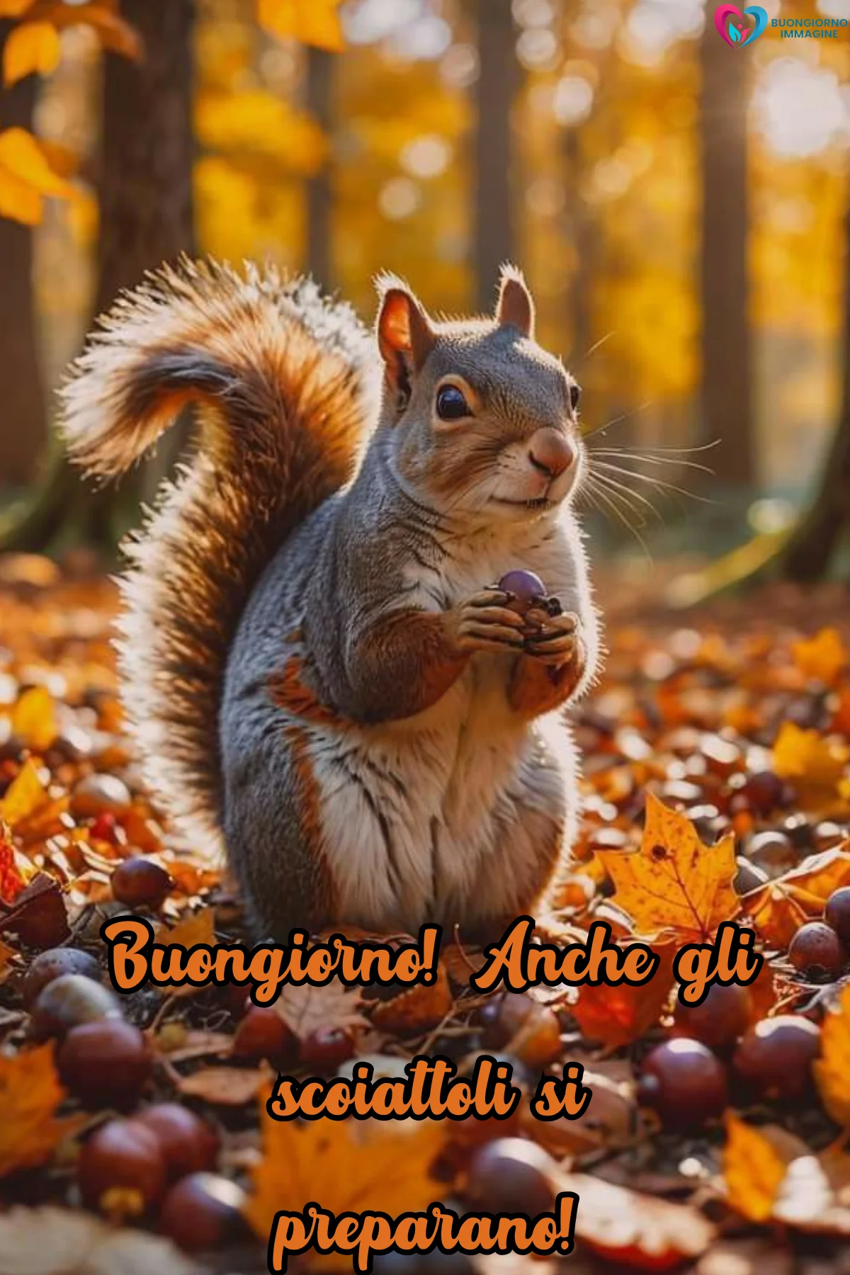 buongiorno autunnale 21 buongiorno autunnale 21