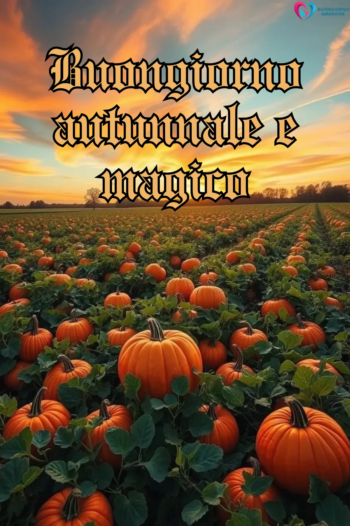 buongiorno autunnale 22 buongiorno autunnale 22