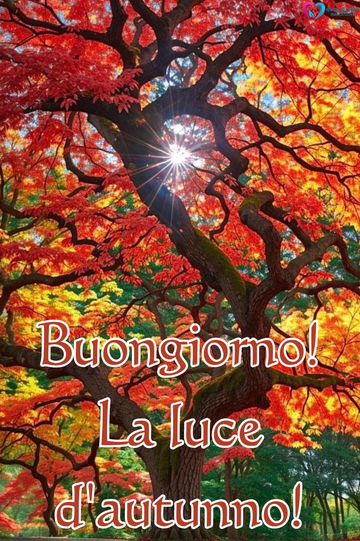 buongiorno autunnale 23 buongiorno autunnale 23