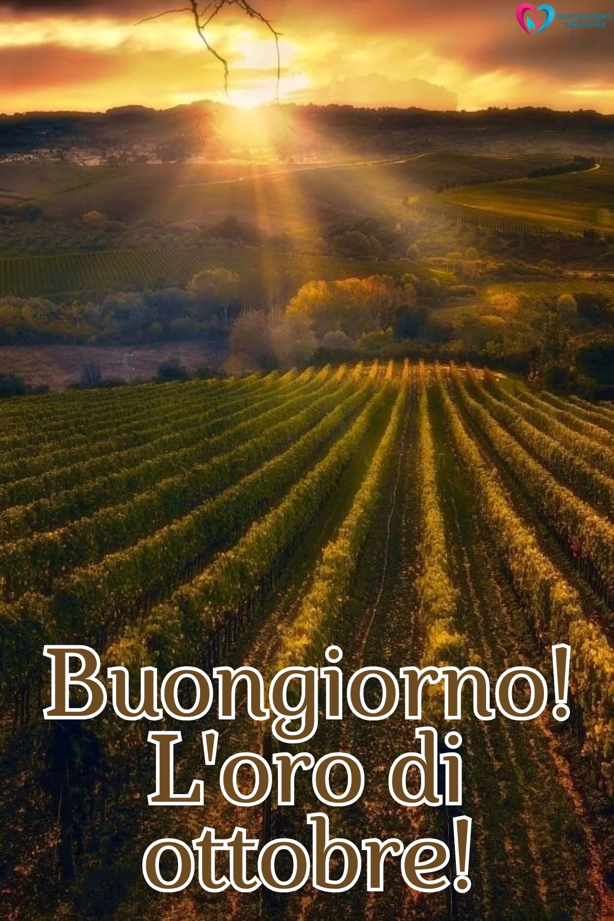 immagini buongiorno autunnale — buongiornoimmagine.it immagini buongiorno autunnale — buongiornoimmagine.it