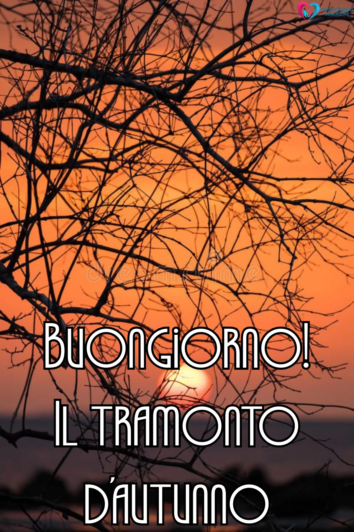 buongiorno autunnale 32 buongiorno autunnale 32