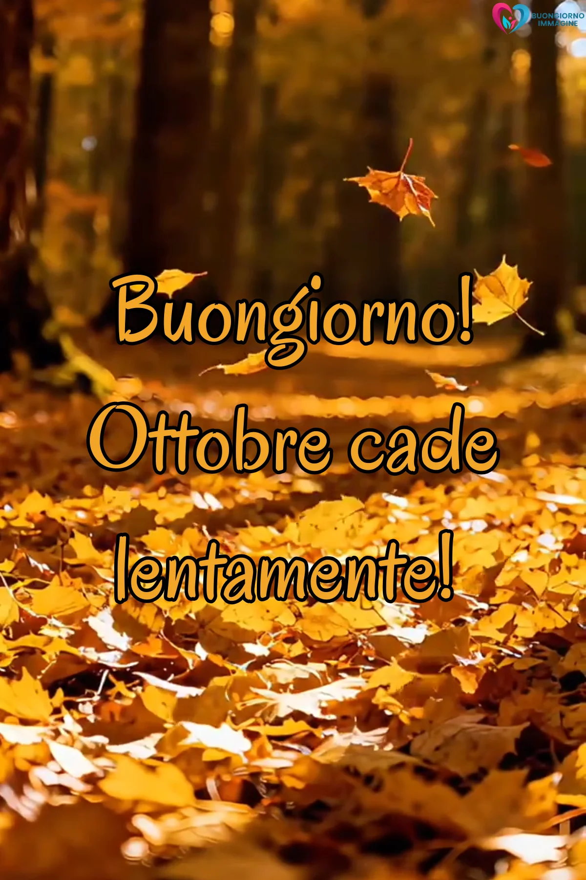 buongiorno autunnale 35 buongiorno autunnale 35