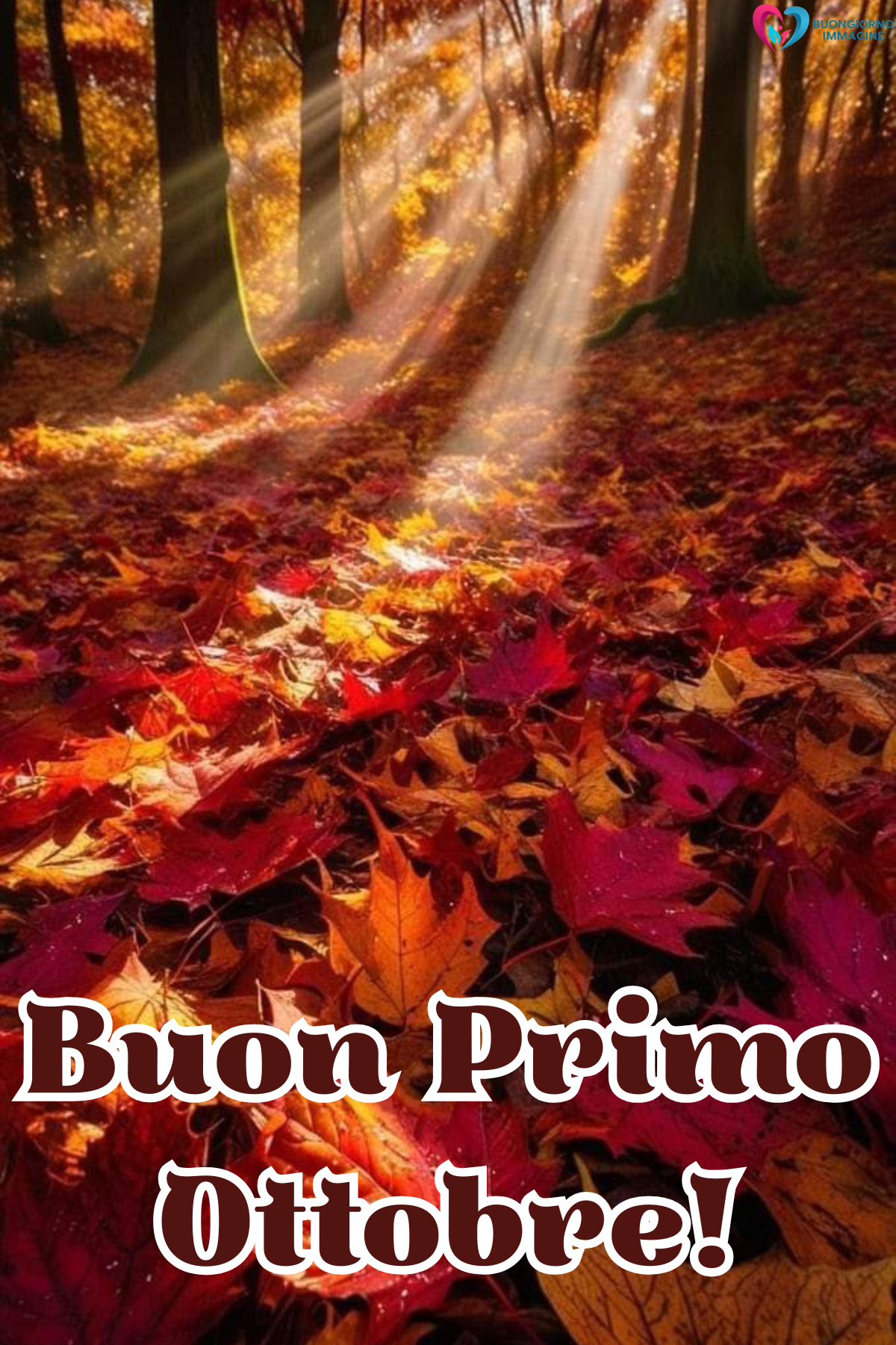 immagini buongiorno ottobre — buongiornoimmagine.it immagini buongiorno ottobre — buongiornoimmagine.it