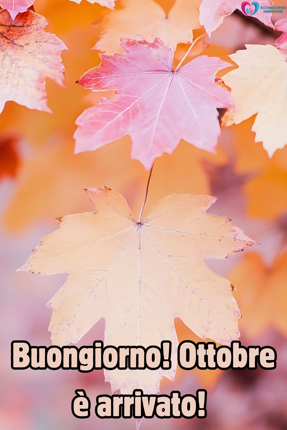 immagini buongiorno ottobre — buongiornoimmagine.it immagini buongiorno ottobre — buongiornoimmagine.it