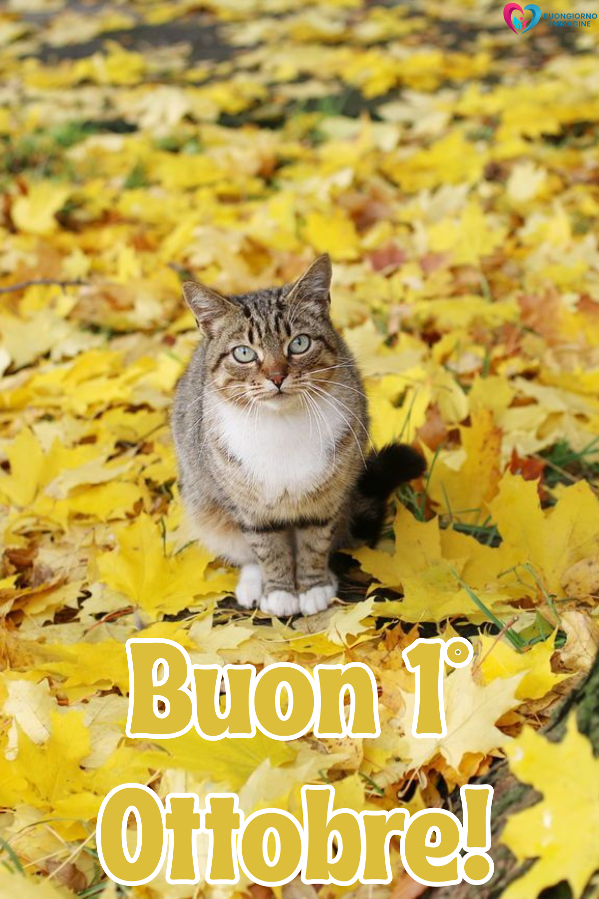 buongiorno ottobre 22 buongiorno ottobre 22