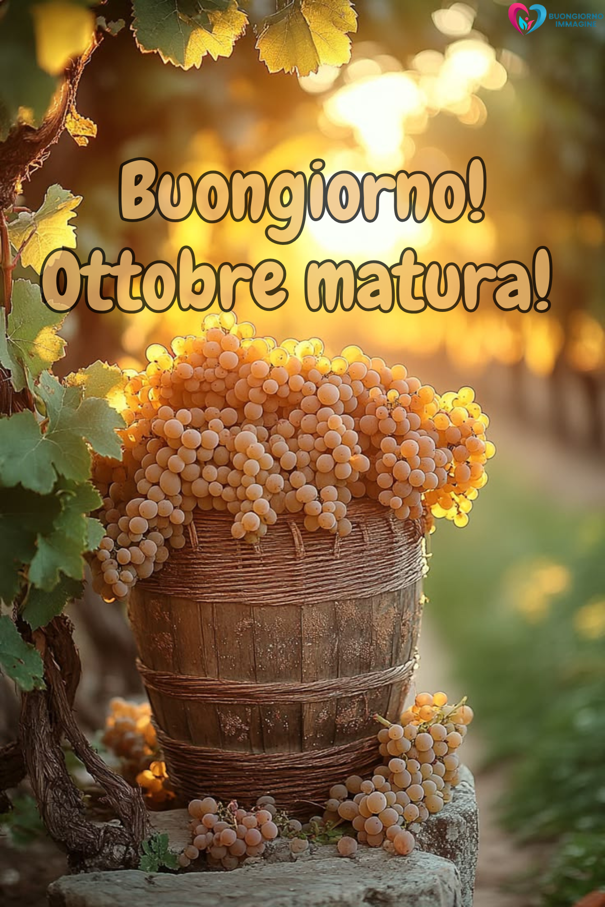 buongiorno ottobre 23 buongiorno ottobre 23