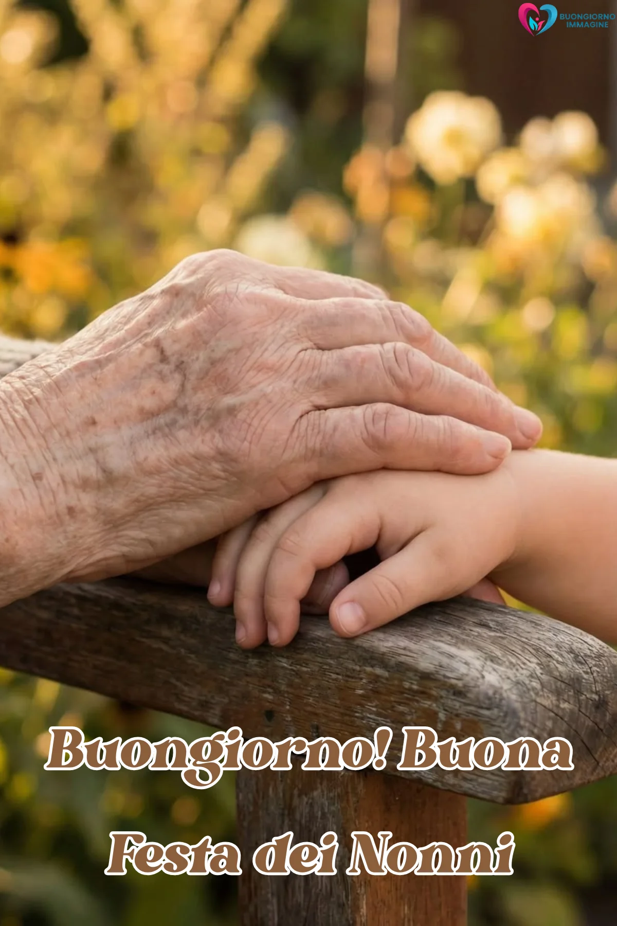 buongiorno festa dei nonni 1 buongiorno festa dei nonni 1