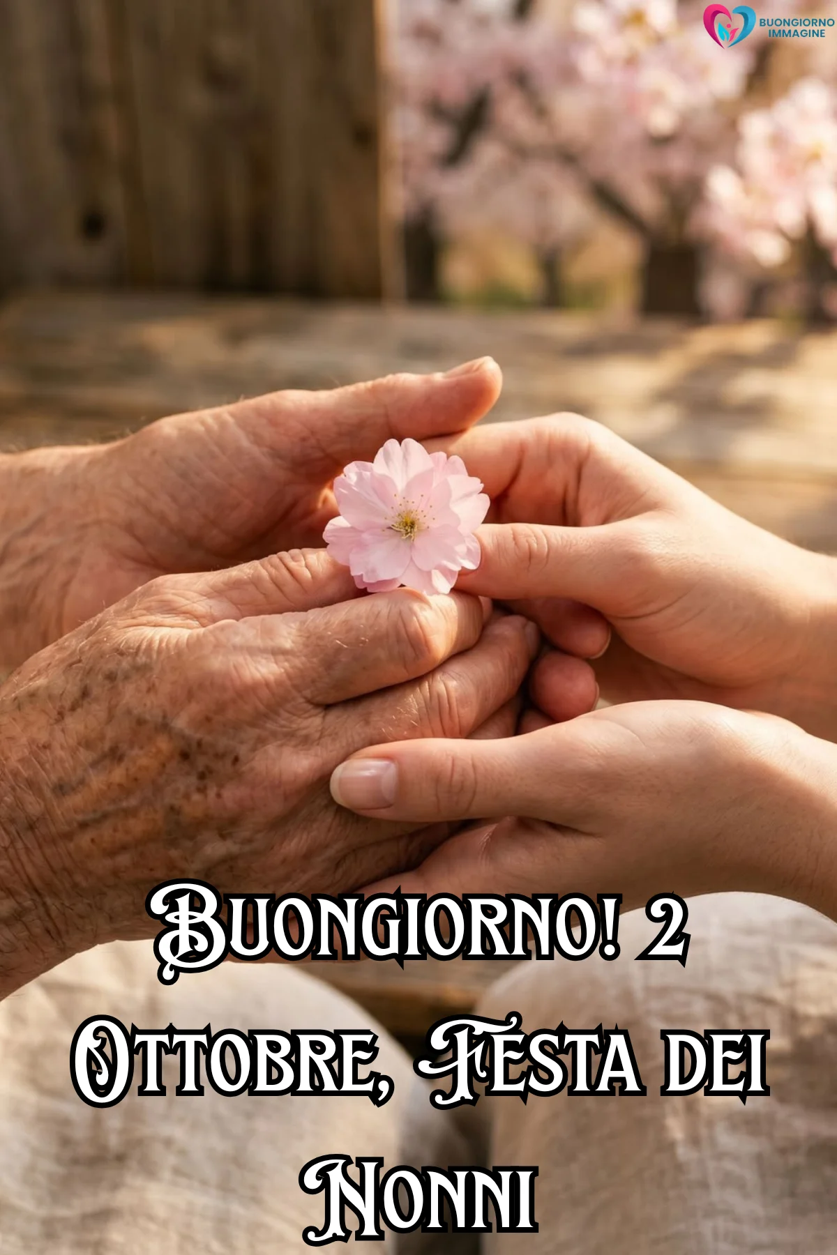 buongiorno festa dei nonni 5 buongiorno festa dei nonni 5