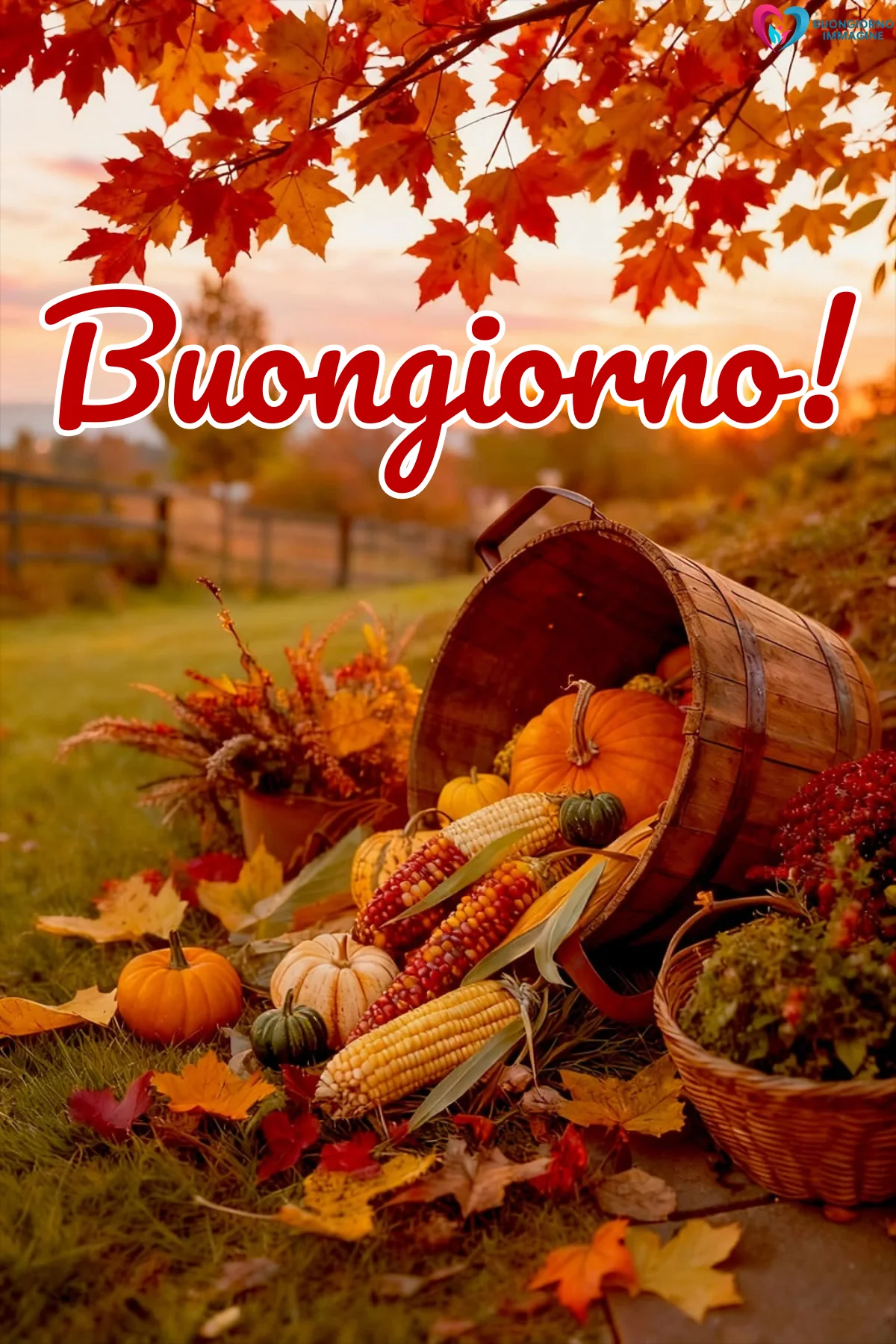 buongiorno ora solare ottobre 1 buongiorno ora solare ottobre 1