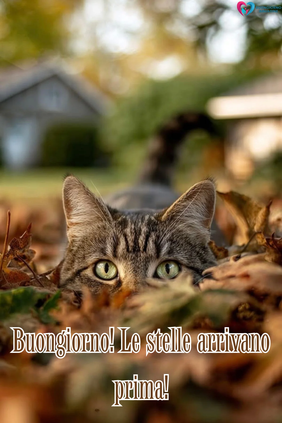 immagini ora solare ottobre — buongiornoimmagine.it immagini ora solare ottobre — buongiornoimmagine.it