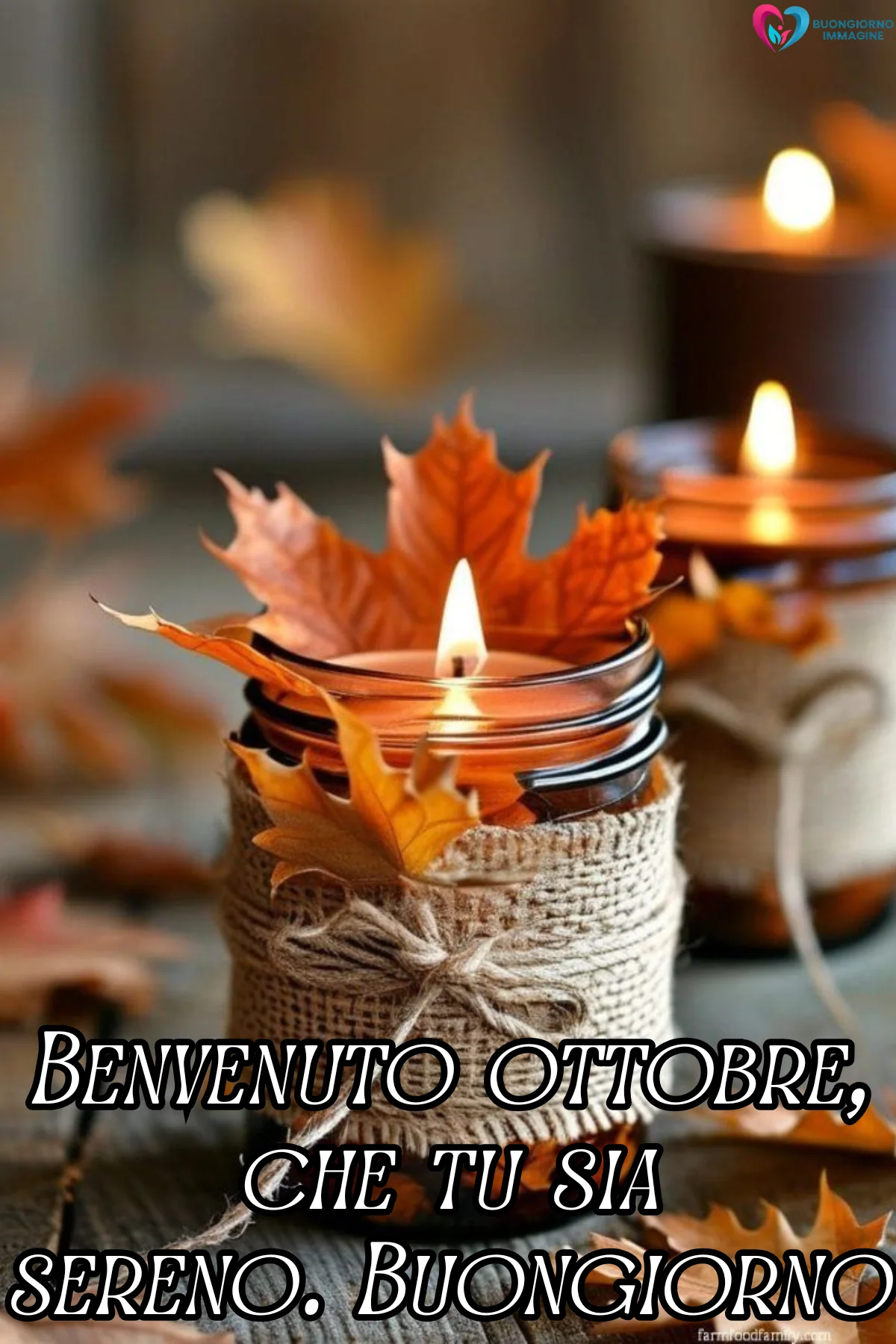 immagini buongiorno ottobre frasi — buongiornoimmagine.it immagini buongiorno ottobre frasi — buongiornoimmagine.it