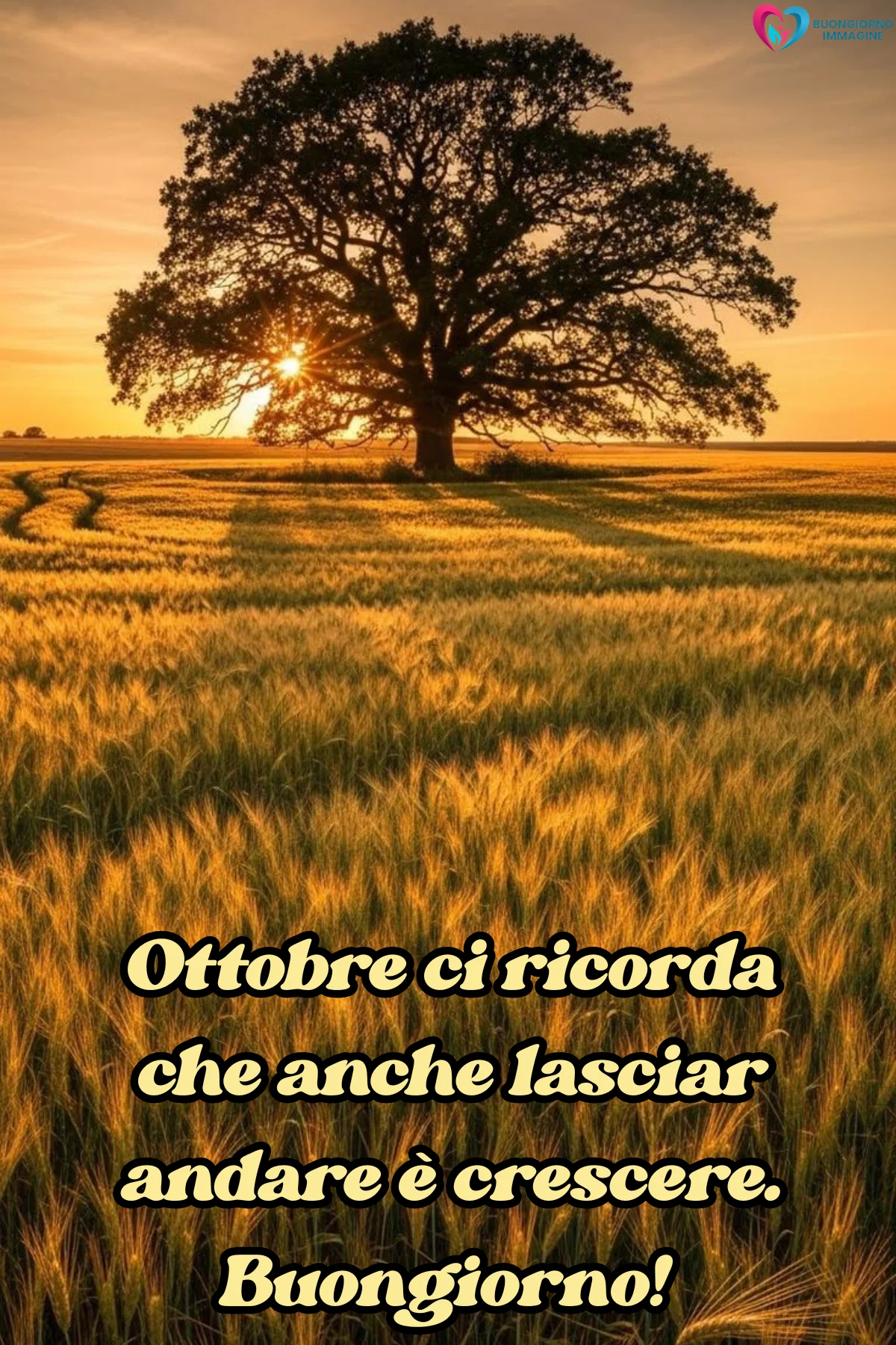 buongiorno ottobre frasi 12 buongiorno ottobre frasi 12