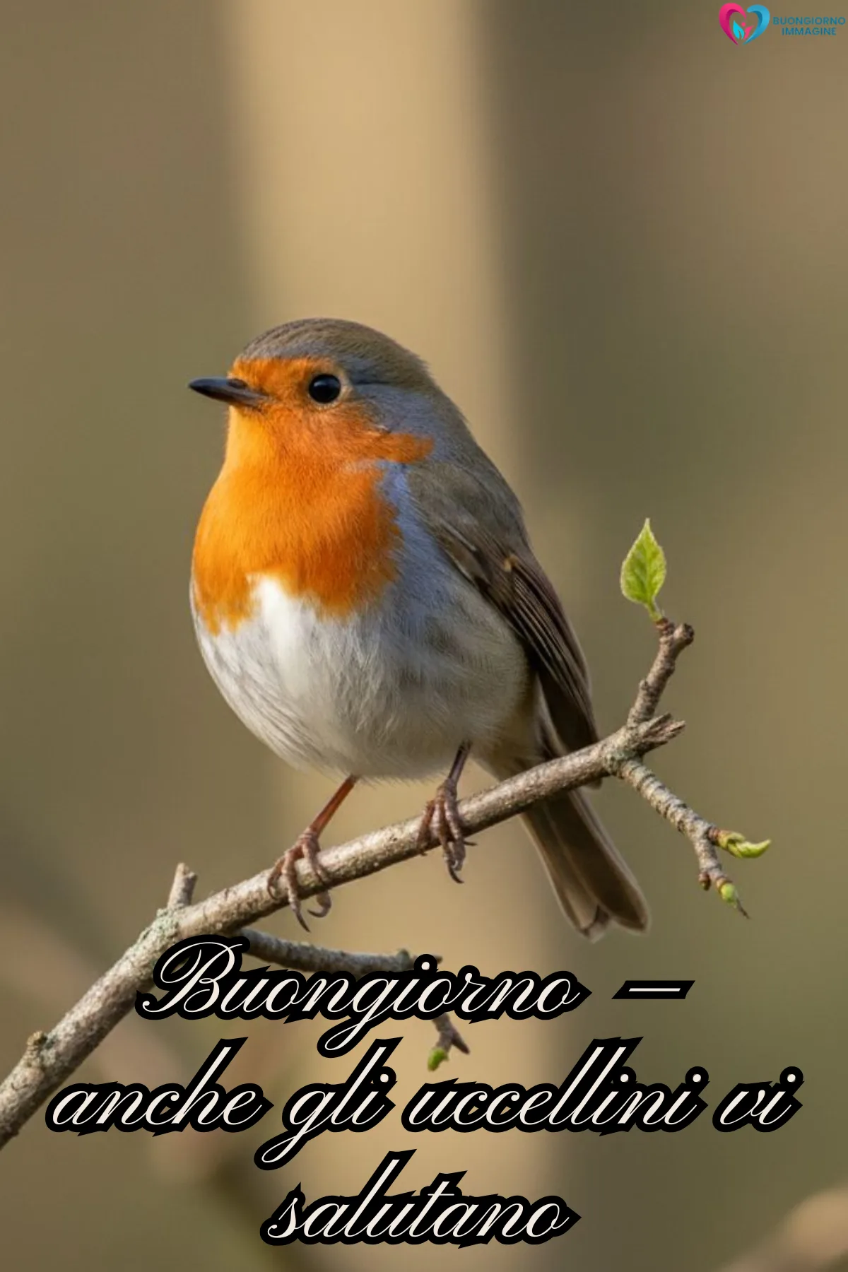 buongiornoimmagine.it