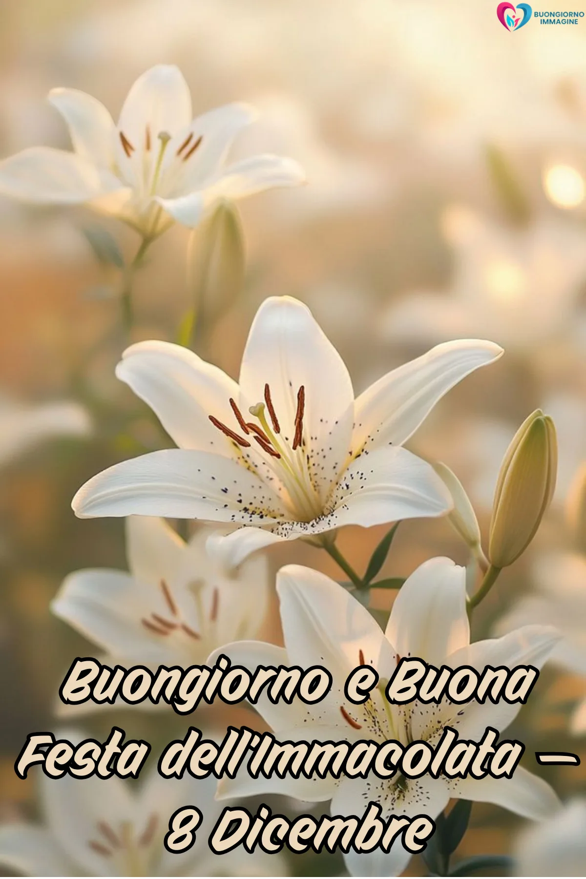 buongiorno 8 dicembre immacolata