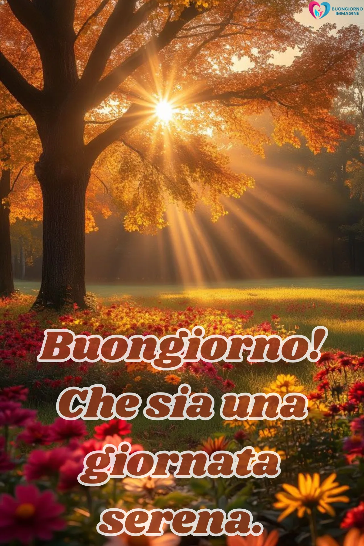 Buongiorno novembre - foto del giorno