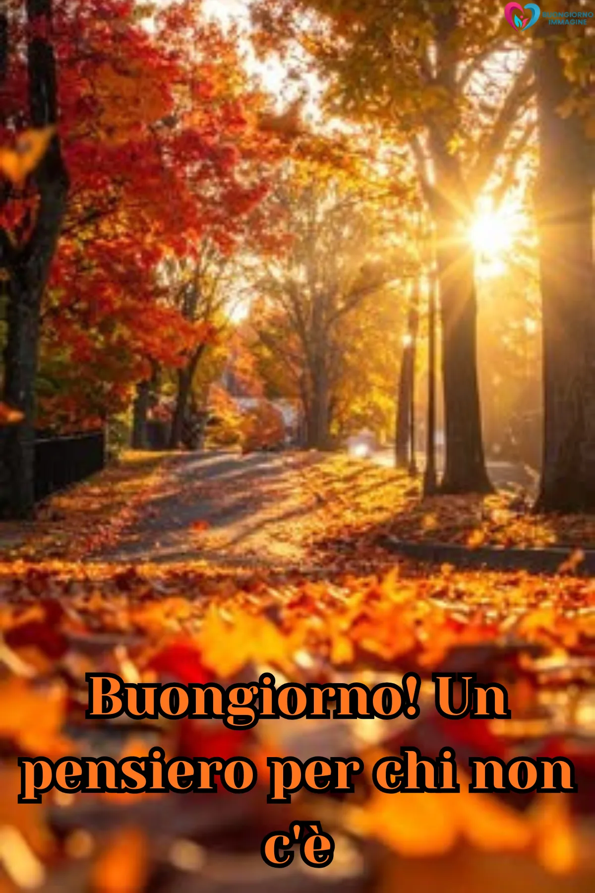 Buongiorno immagini novembre | buongiornoimmagine.it