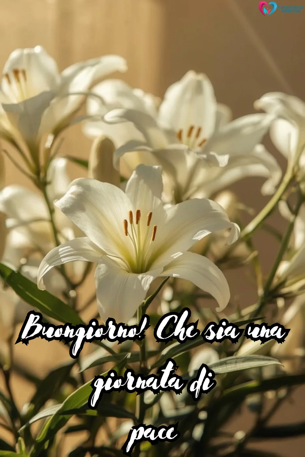 Buongiorno novembre immagini | buongiornoimmagine.it