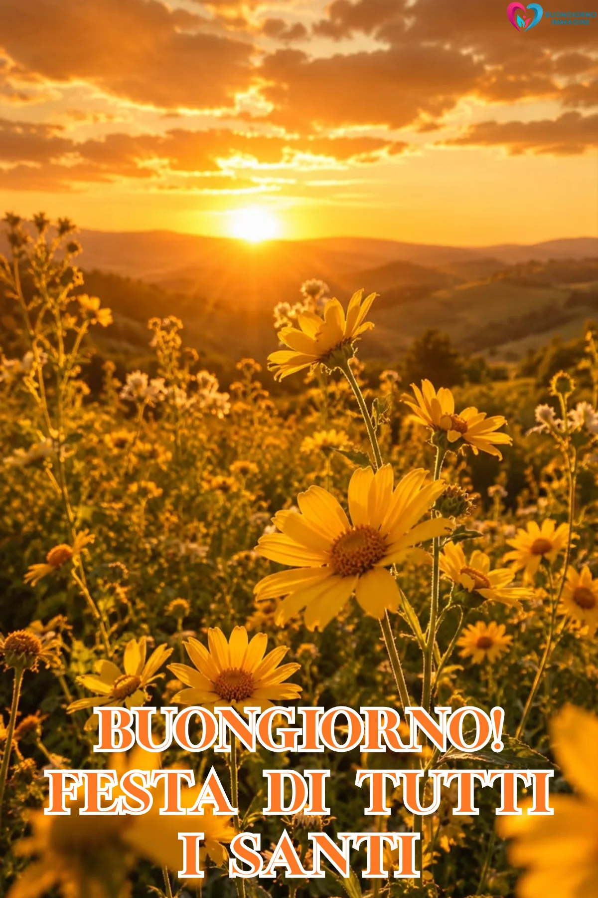 Buongiorno novembre - foto del giorno