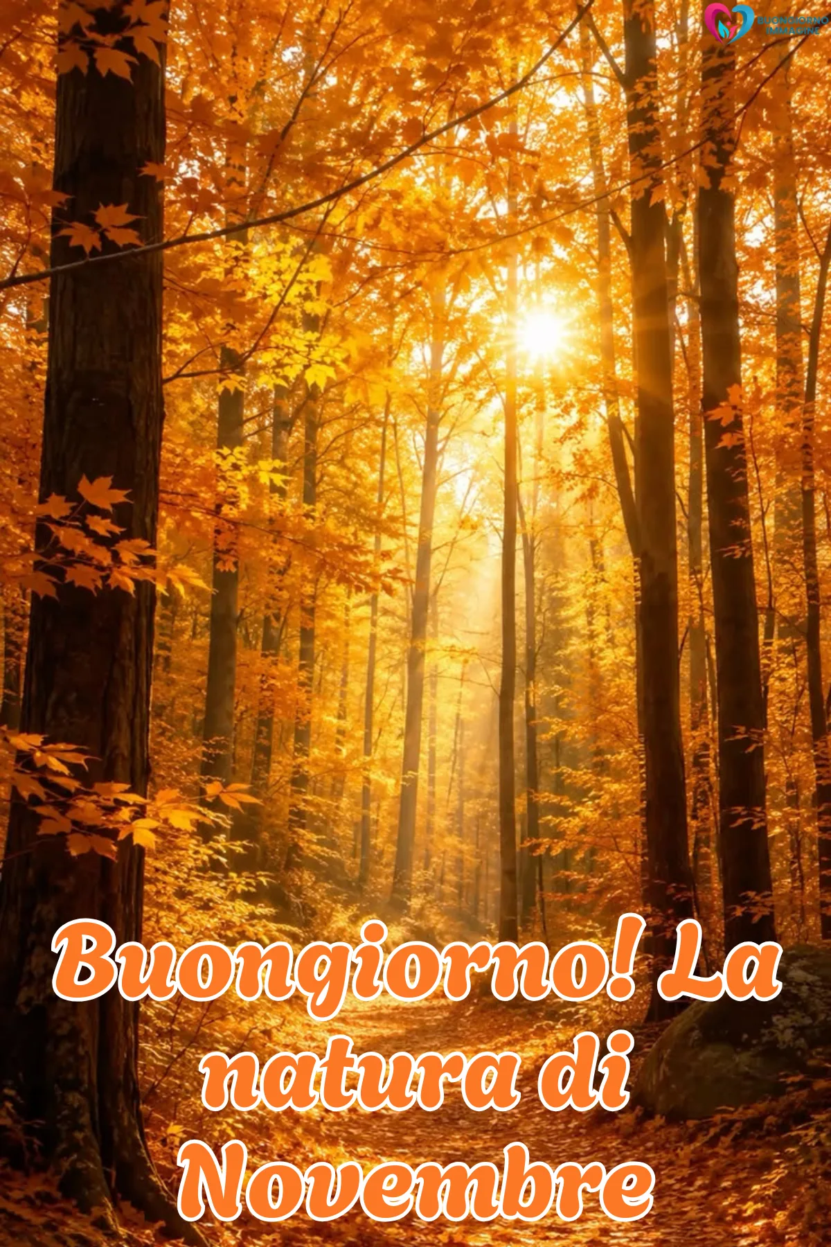 Buongiorno immagini novembre | buongiornoimmagine.it