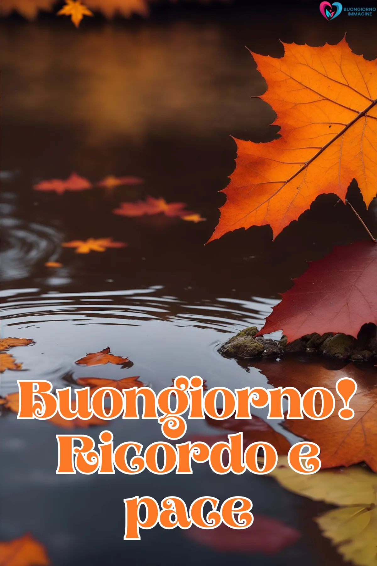 Buongiorno novembre immagini | buongiornoimmagine.it