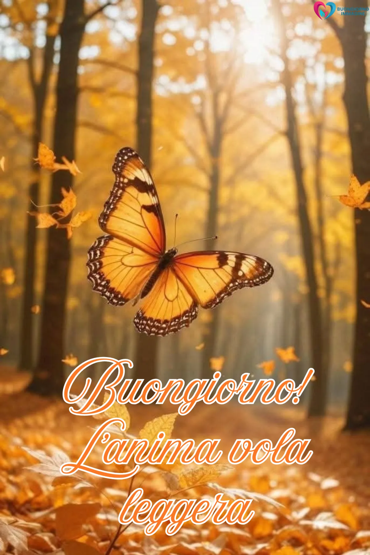 Immagini buongiorno novembre nuove
