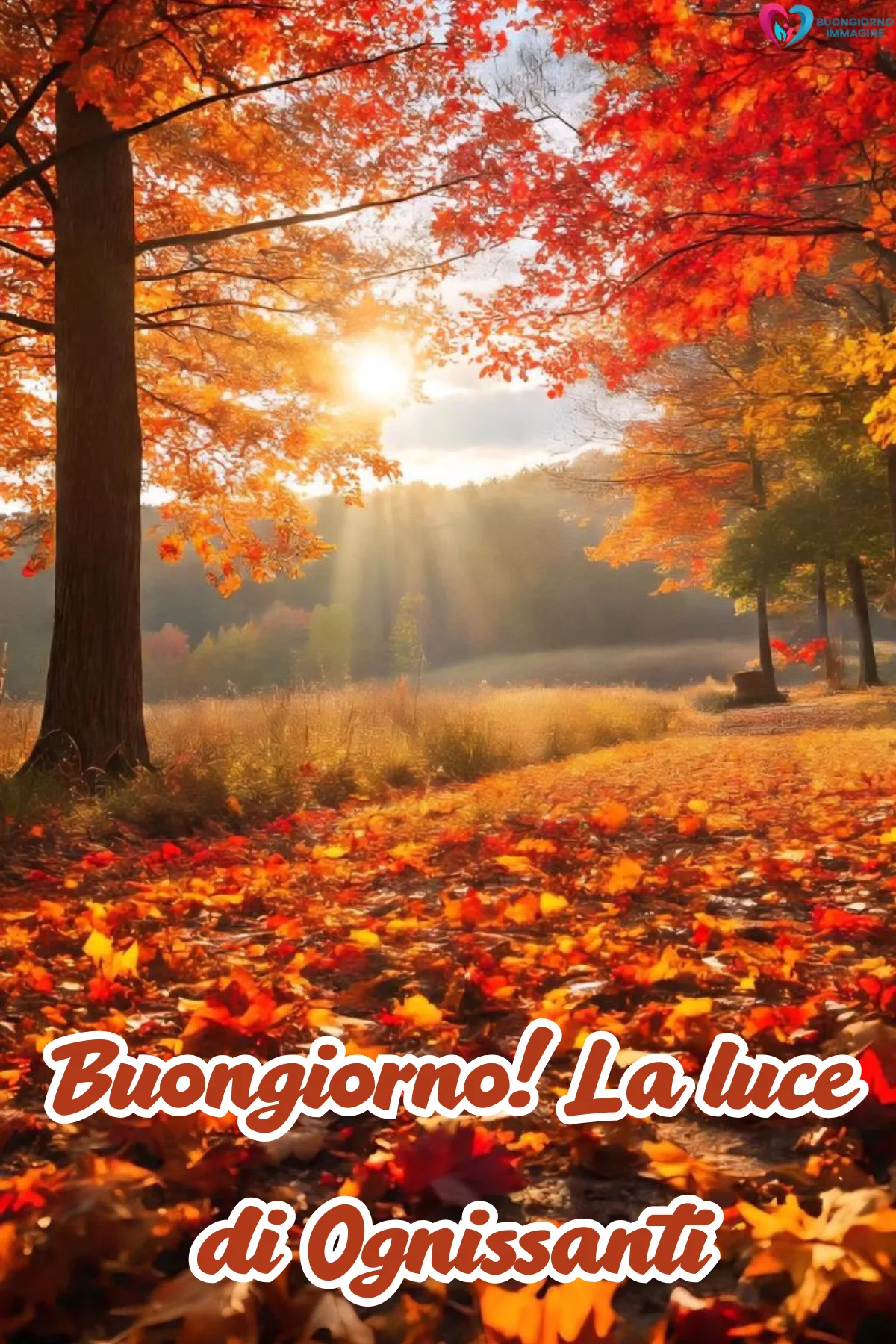 Buongiorno novembre - foto del giorno