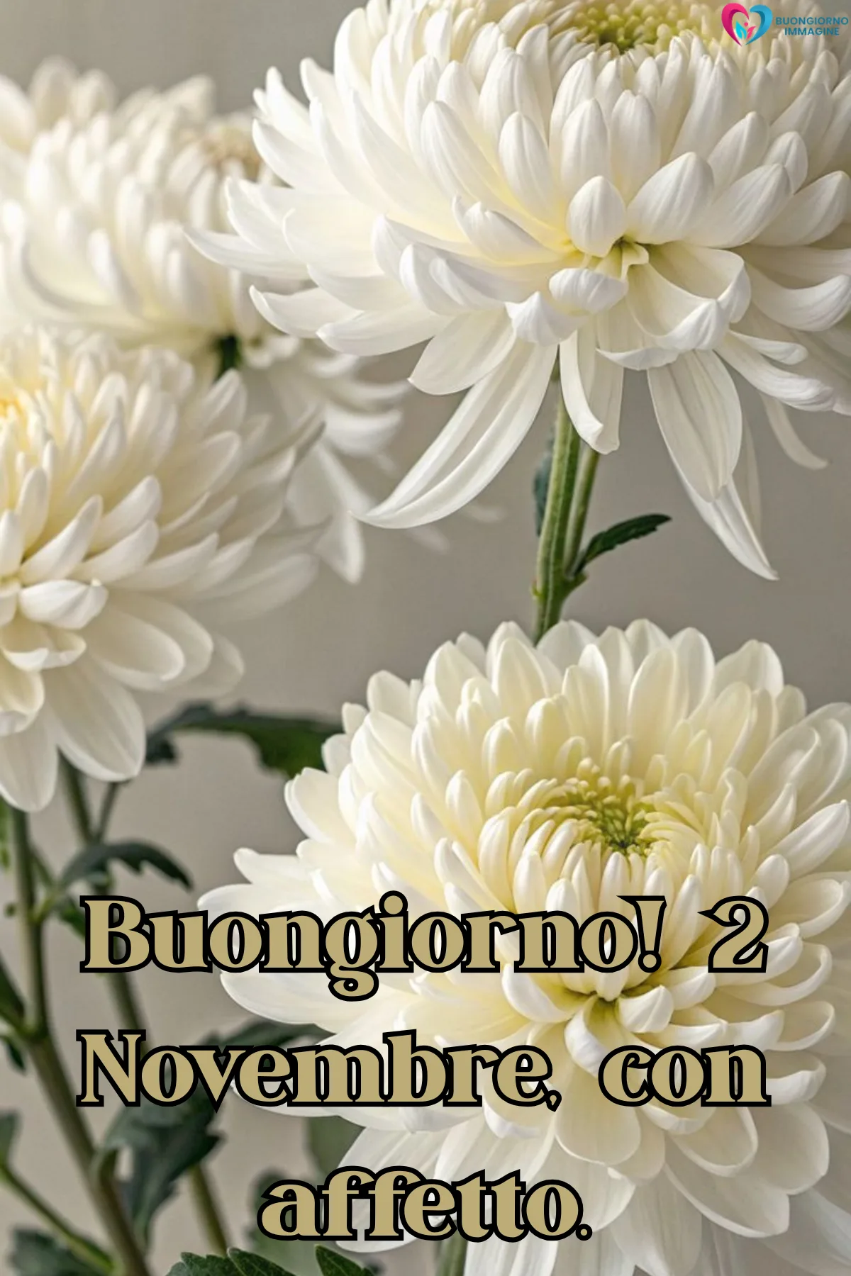 Immagini buongiorno gratis | buongiornoimmagine.it