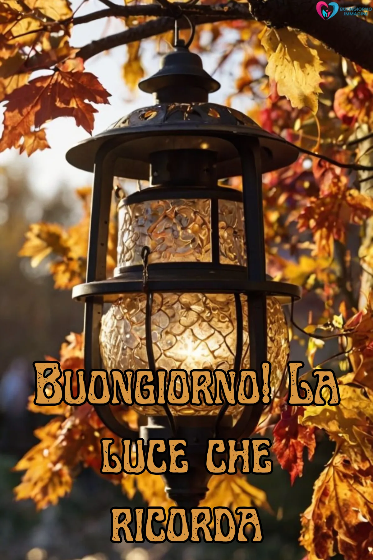 Immagini buongiorno novembre nuove