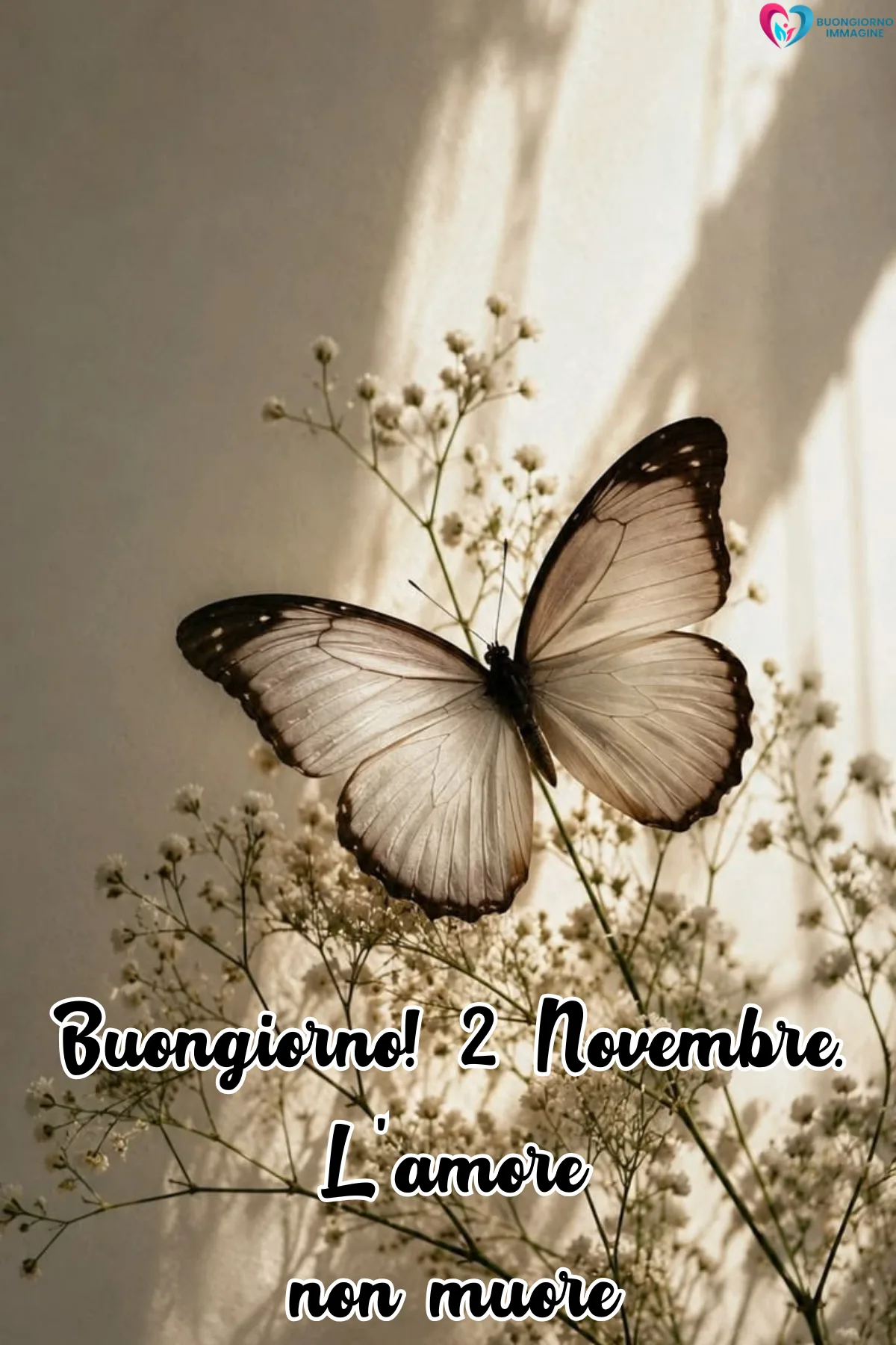 Buongiorno novembre - auguri del mattino