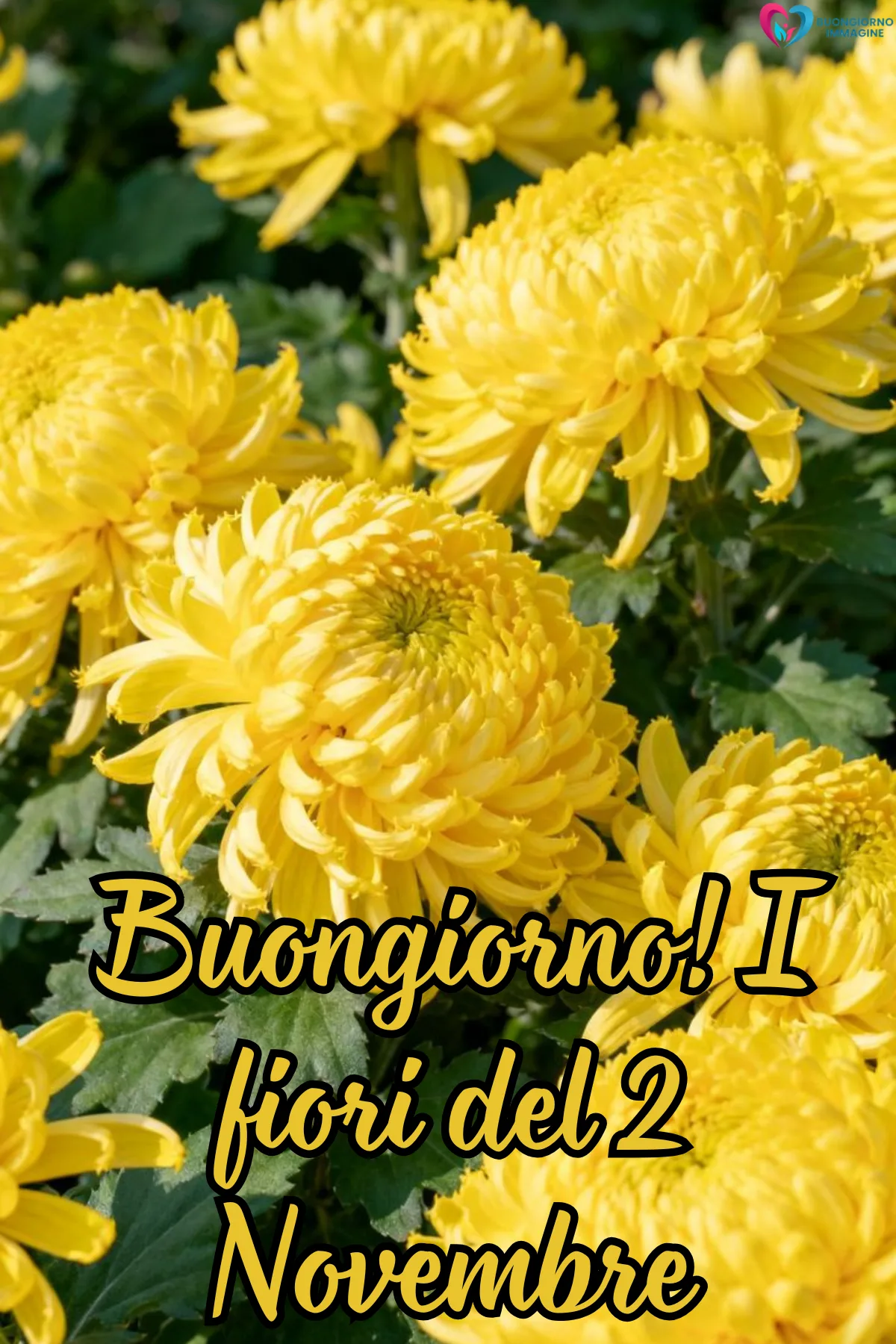 Foto buongiorno novembre | buongiornoimmagine.it