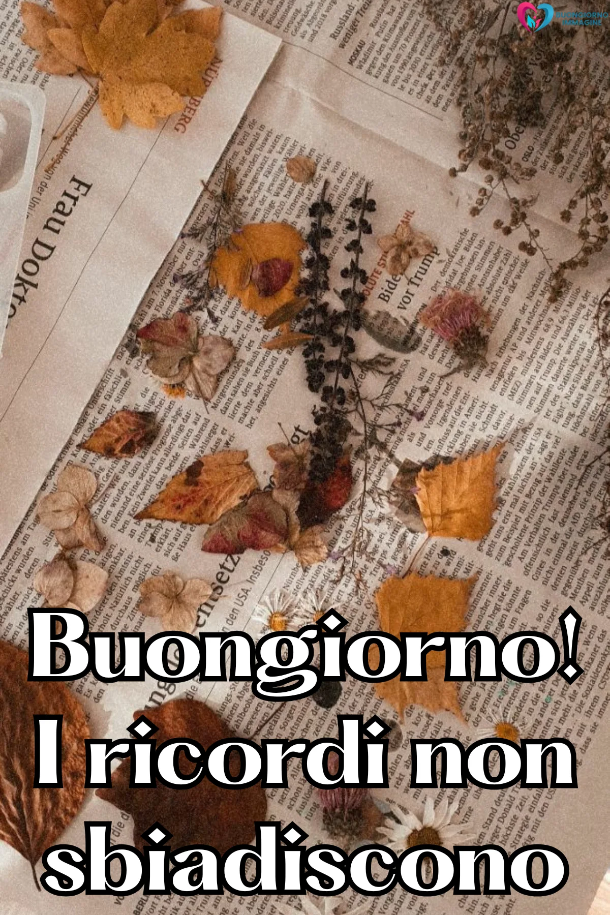 Immagini di buongiorno novembre bellissime