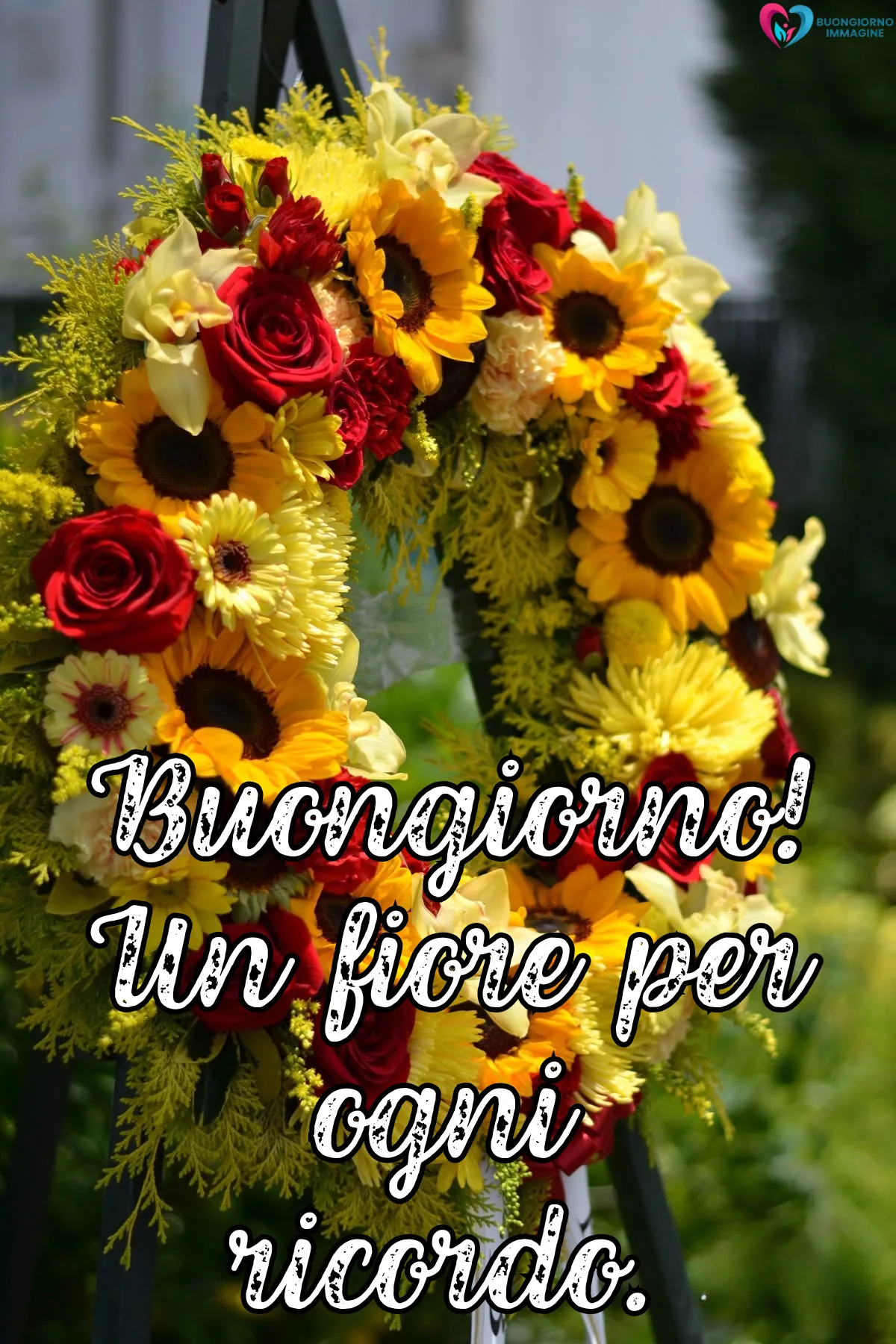 Immagini buongiorno gratis | buongiornoimmagine.it
