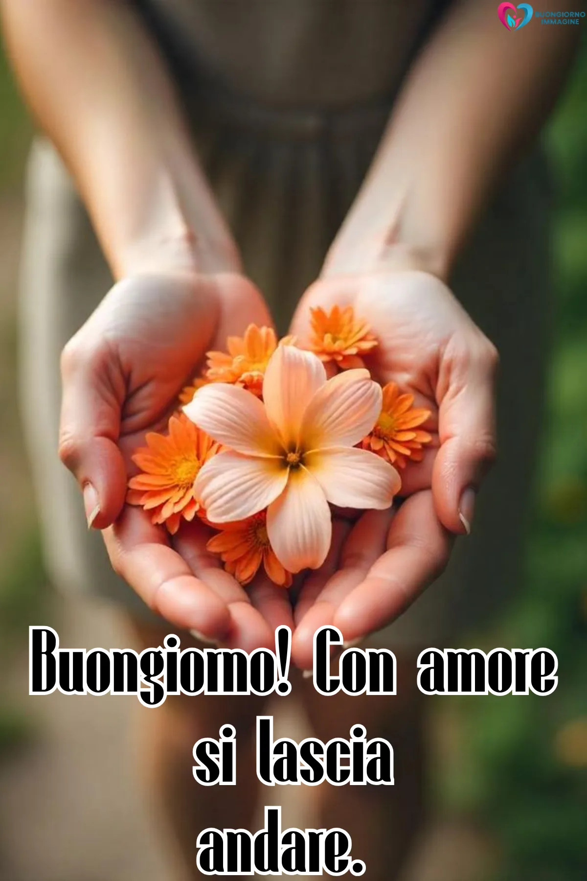 Immagini di buongiorno novembre bellissime