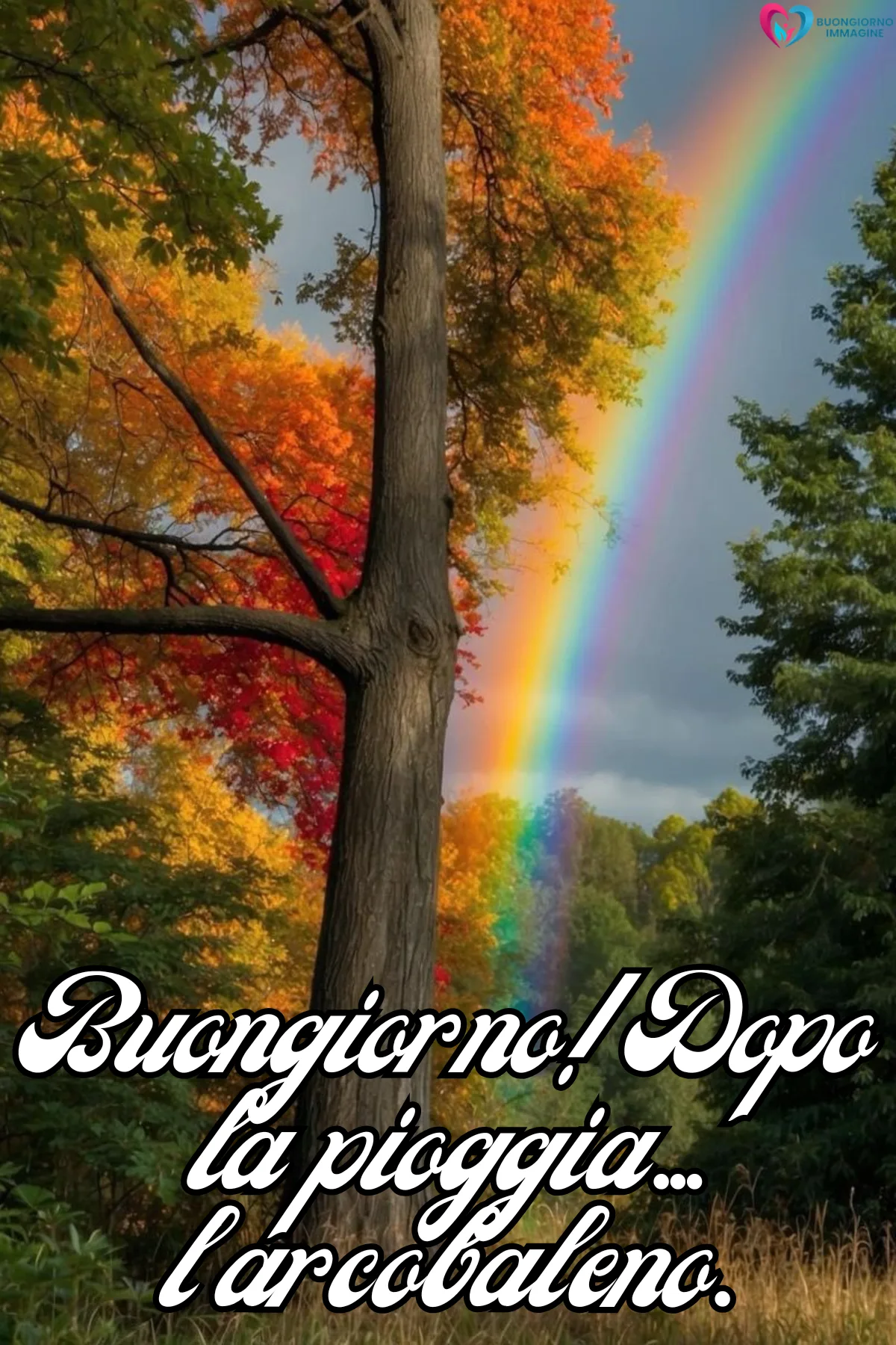 Buongiorno novembre - auguri del mattino