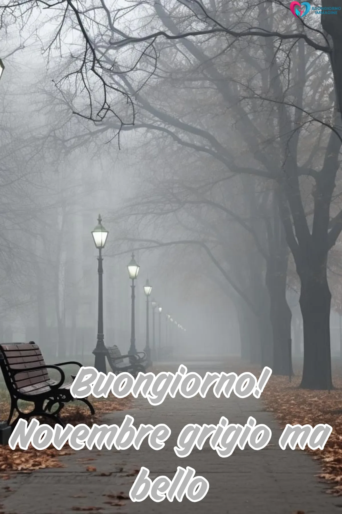 Immagini buongiorno novembre nuove