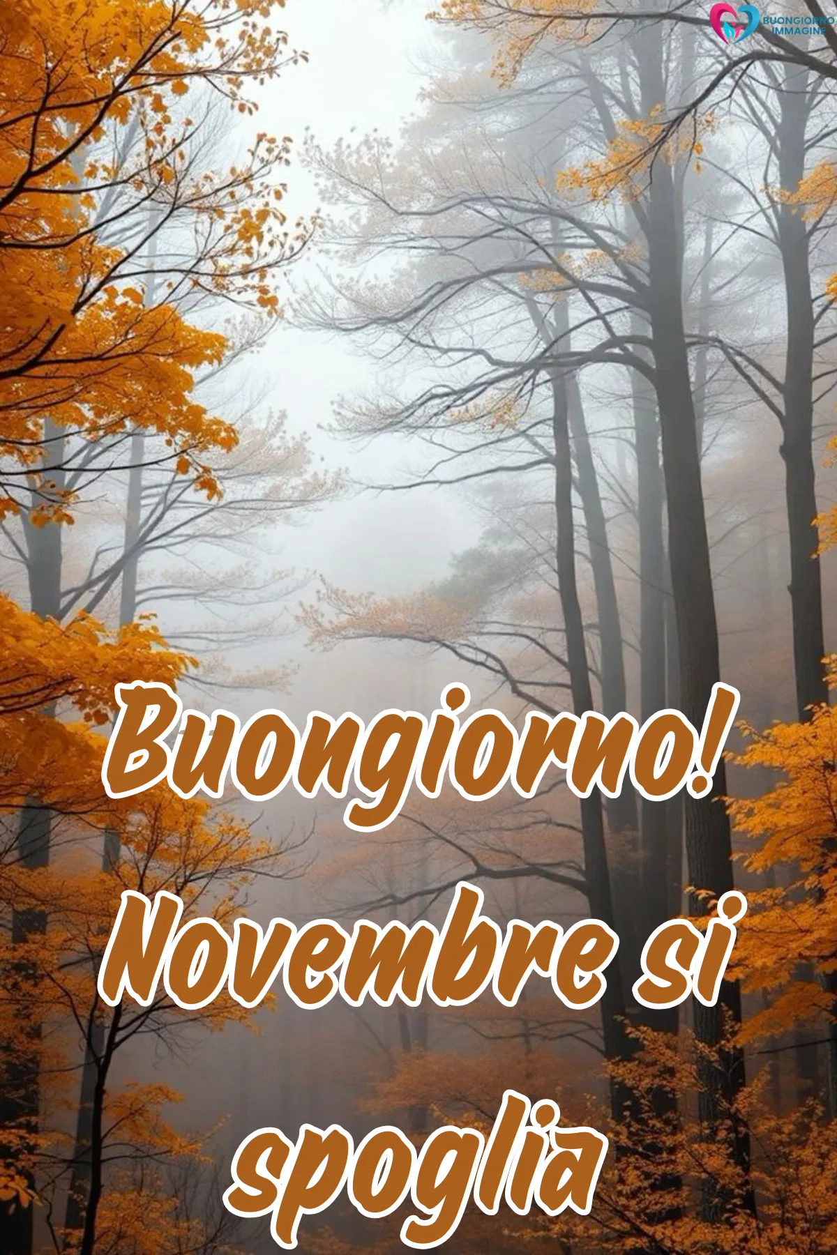 Foto buongiorno novembre | buongiornoimmagine.it