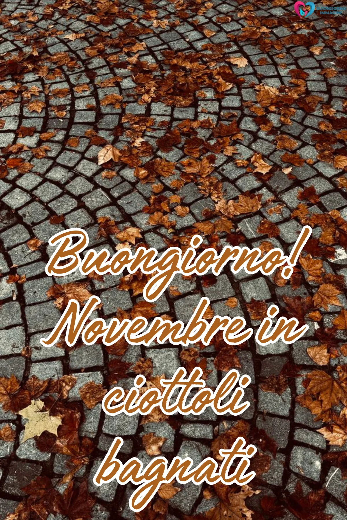 Immagini buongiorno novembre nuove