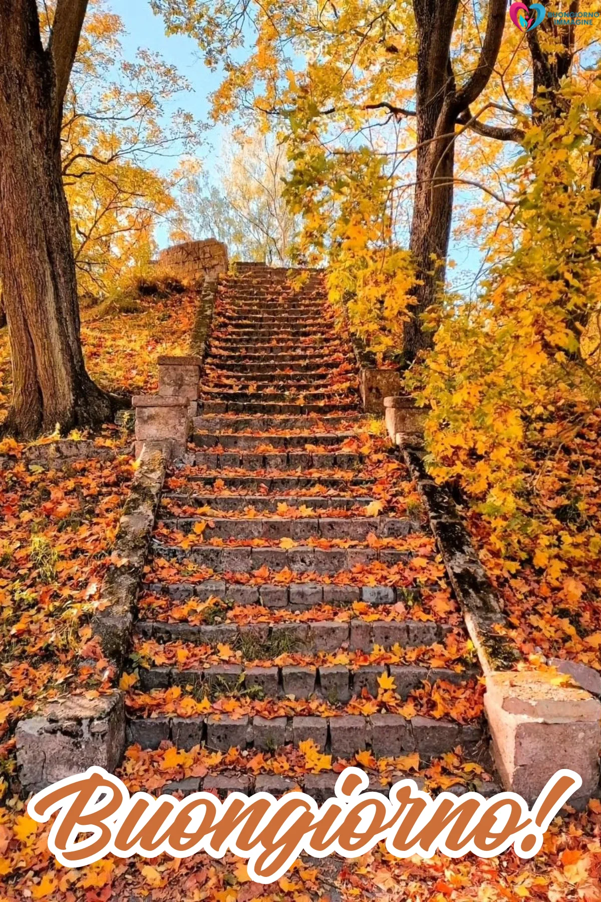 Buongiorno novembre - foto del giorno