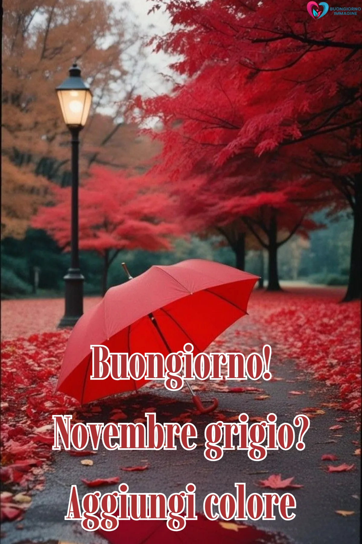 Buongiorno immagini novembre | buongiornoimmagine.it
