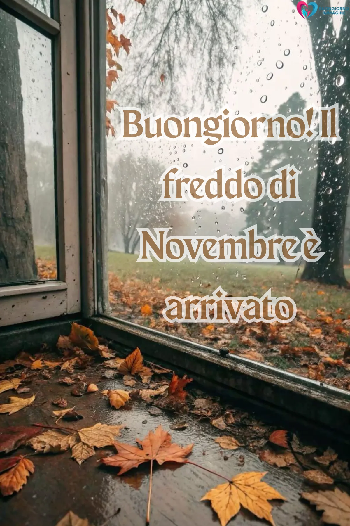 Buongiorno novembre immagini | buongiornoimmagine.it