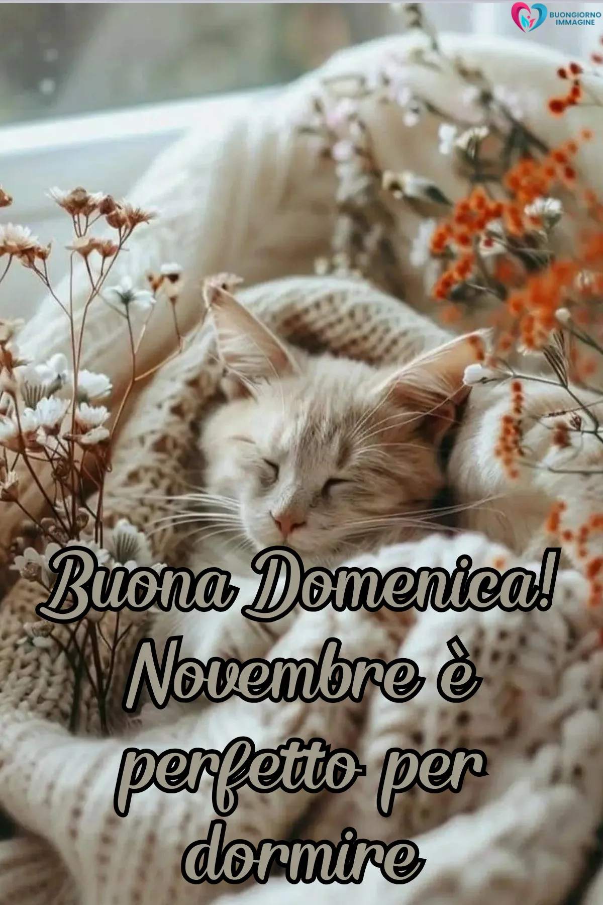 Immagini buongiorno | buongiornoimmagine.it