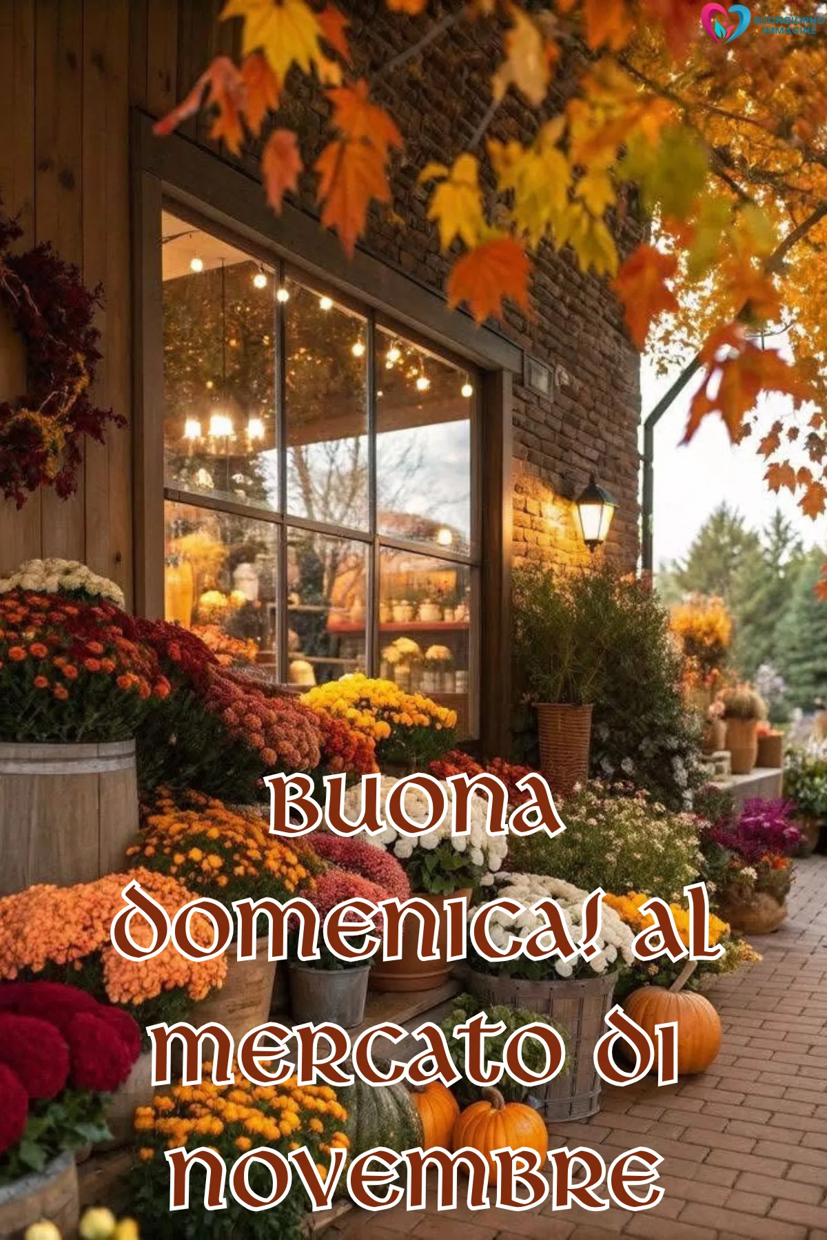 Foto buongiorno novembre | buongiornoimmagine.it